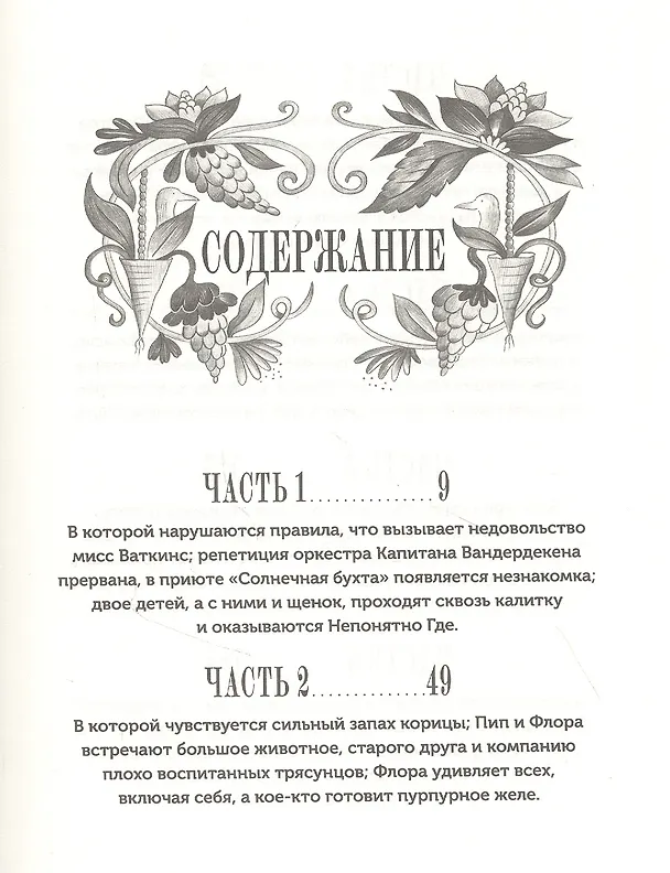 Книга Изумительная Страна Снергов (Вероника Коссантели) — 2