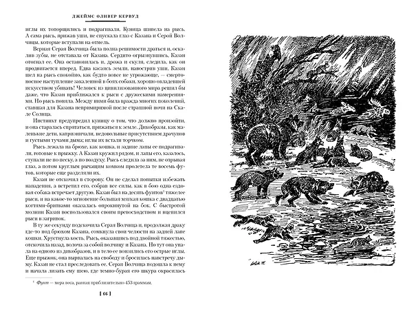 Книга Бродяги Севера (Джеймс Оливер Кервуд) — 11