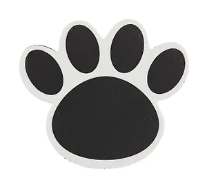 Губка для стирания магнитная "Лапка"