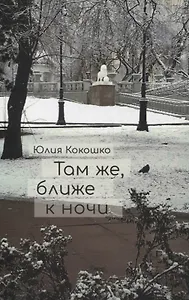 Там же, ближе к ночи