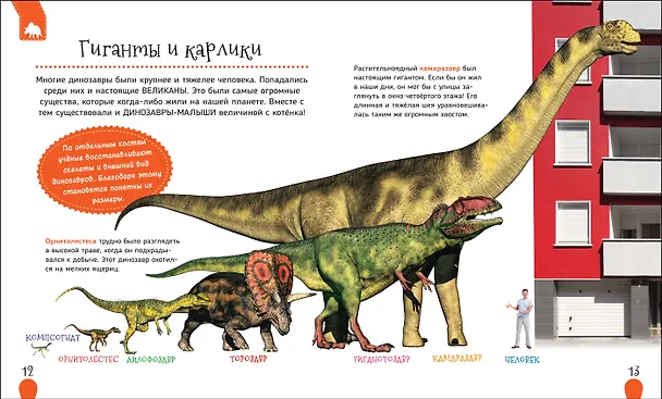 Книга Динозавры (Ирина Травина) — 5