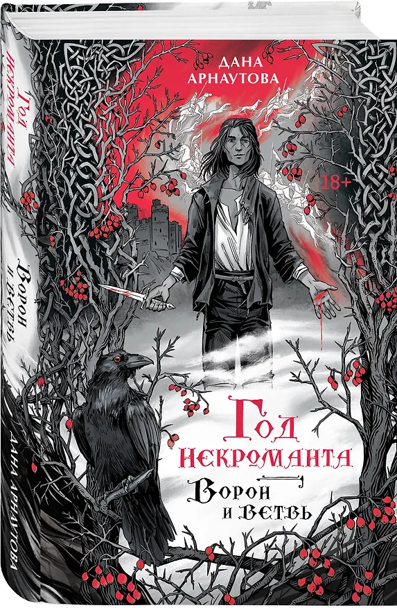 Книга Год некроманта. Ворон и ветвь (Дана Арнаутова) — 4