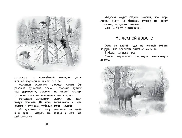 Книга Год в лесу (Иван Соколов-Микитов) — 10