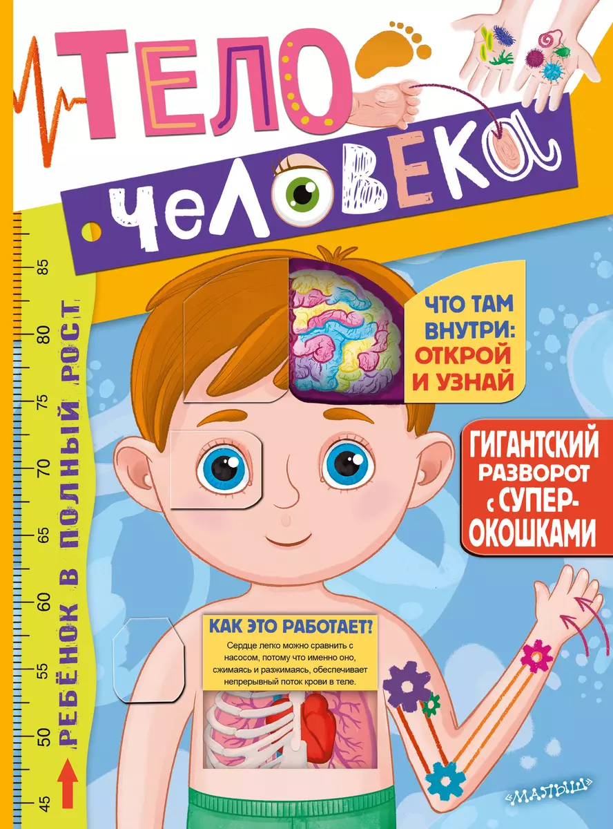 Тело человека. Гигантский разворот с окошками - купить книгу с доставкой в  интернет-магазине «Читай-город». ISBN: 978-5-17-148349-4