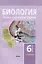 Биология. Планы-конспекты уроков. 6 класс (I полугодие) — 3067017 — 1