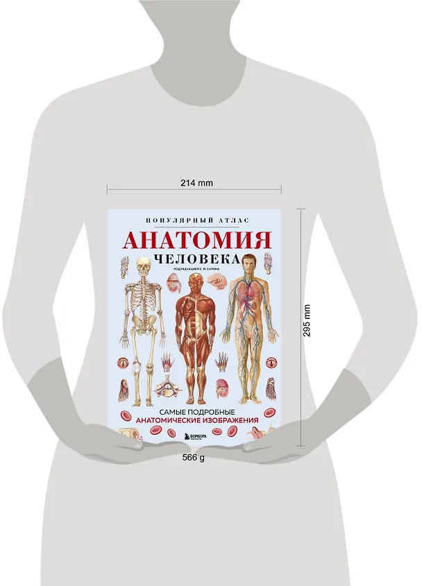 Книга Анатомия человека. Популярный атлас. Самые подробные анатомические изображения () — 16