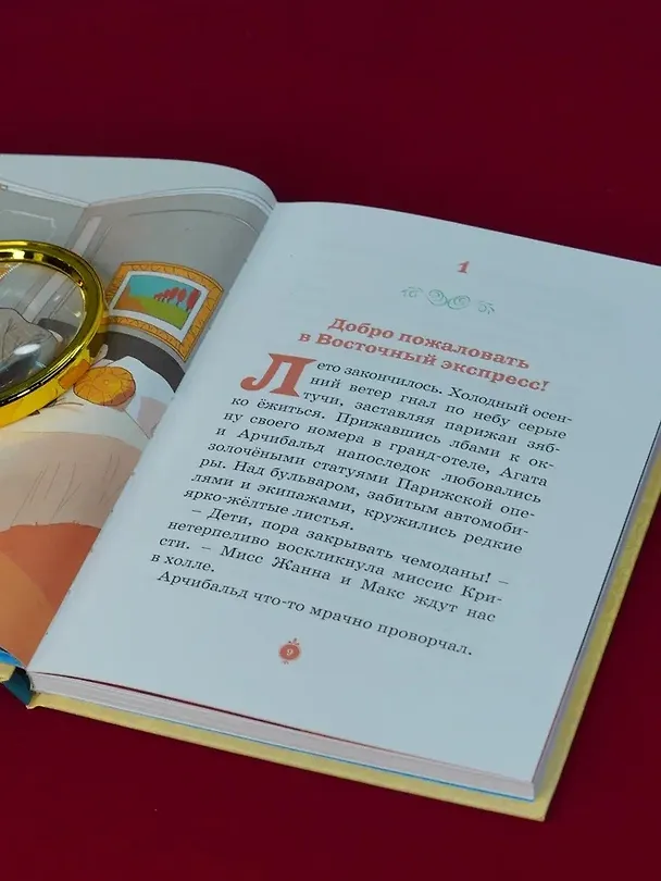 Книга Скандал в «Восточном экспрессе». Дело №3 (Кристина Паллюи) — 11