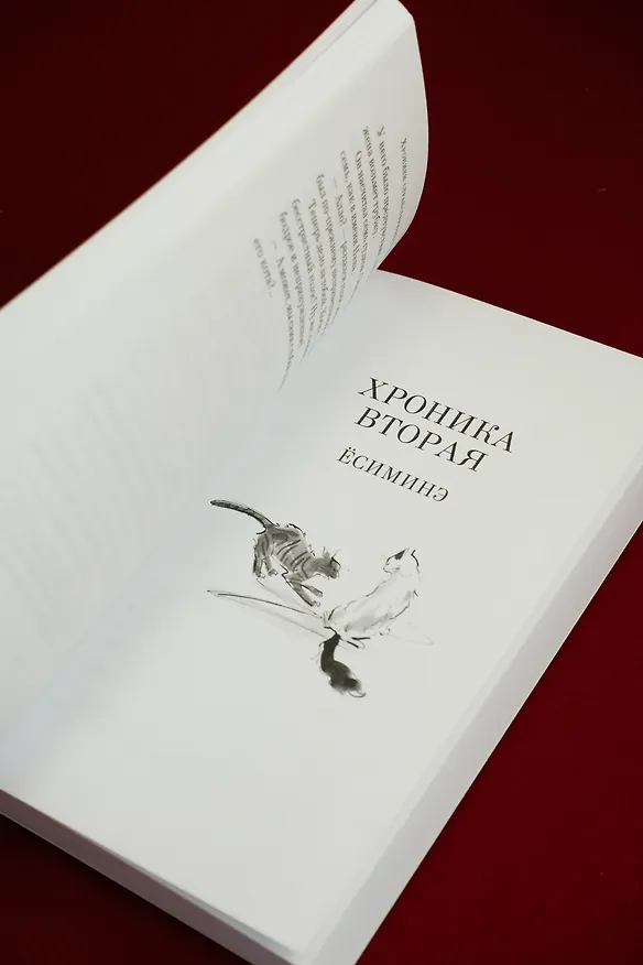 Книга Хроники странствующего кота (Хиро Арикава) — 14