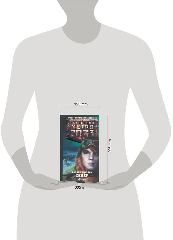 Книга Метро 2033: Север: роман (Андрей Буторин) — 2