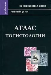 Атлас по гистологии  (учебное пособие для вузов) (Gaudeamus). Мусиенко Н. (Трикста) — 2098369 — 1