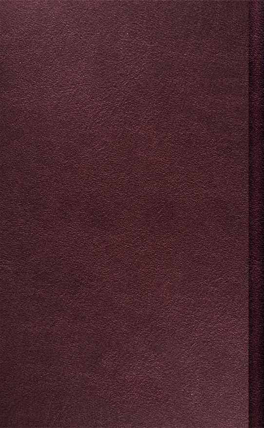 Книга Заброшенный вагон (Александр Розенбаум) — 2