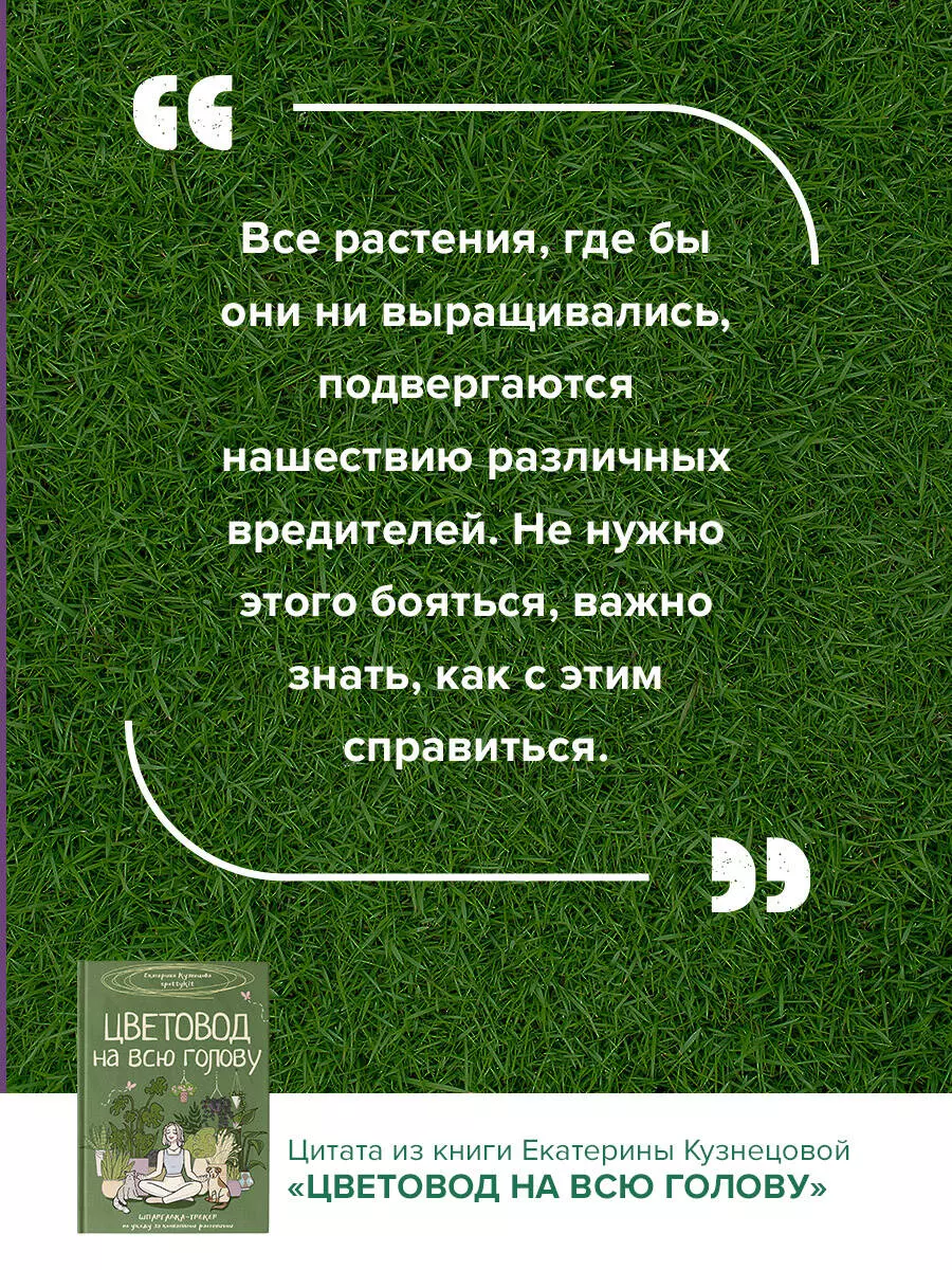 Цветовод на всю голову. Шпаргалка-трекер по уходу за комнатными растениями  (Екатерина Кузнецова) - купить книгу с доставкой в интернет-магазине  «Читай-город». ISBN: 978-5-17-163149-9