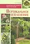 Вертикальное озеленение: Дизайнерские решения. Выбор растений — 2310089 — 1