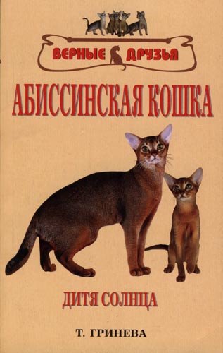 

Абиссинская кошка. Дитя солнца