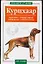 Курцхаар: Кормление, стандарт породы, выбор щенка, собачья аптечка — 2083043 — 1