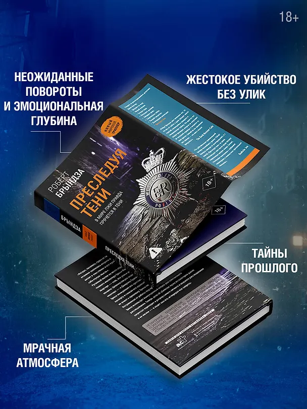 Книга Преследуя тени (Роберт Брындза) — 8