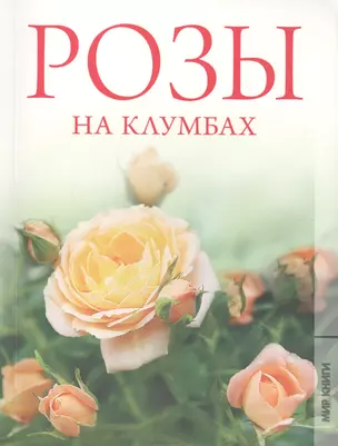 Розы на клумбах — 2412898 — 1