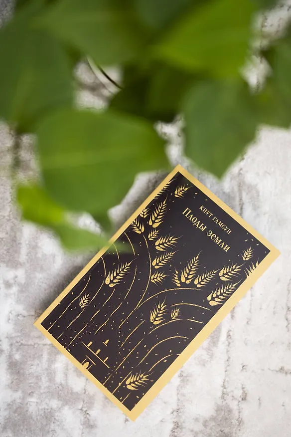 Книга Плоды земли (Кнут Гамсун) — 14