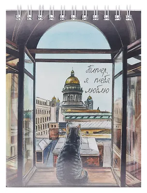 Блокнот А6 60л "Санкт-Петербург" спираль 3083796