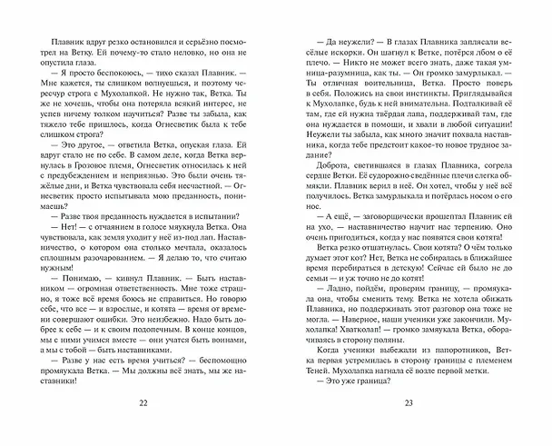 Книга Неистовая буря (Эрин Хантер) — 11
