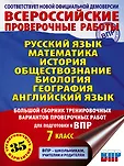 Всероссийские проверочные работы за курс начальной школы