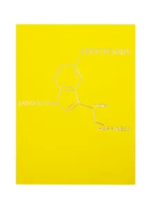 Записная книжка А6 80л лин. "Molecule. Serotonine" интеграл.переплет, Soft Touch, тиснение серебр.фольгой