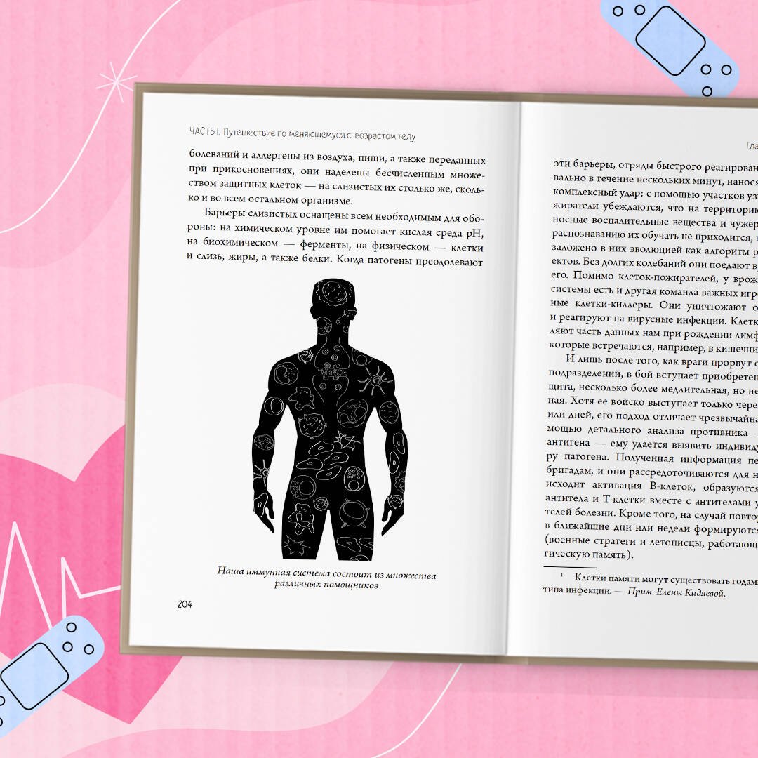 Изображение бумажной книги