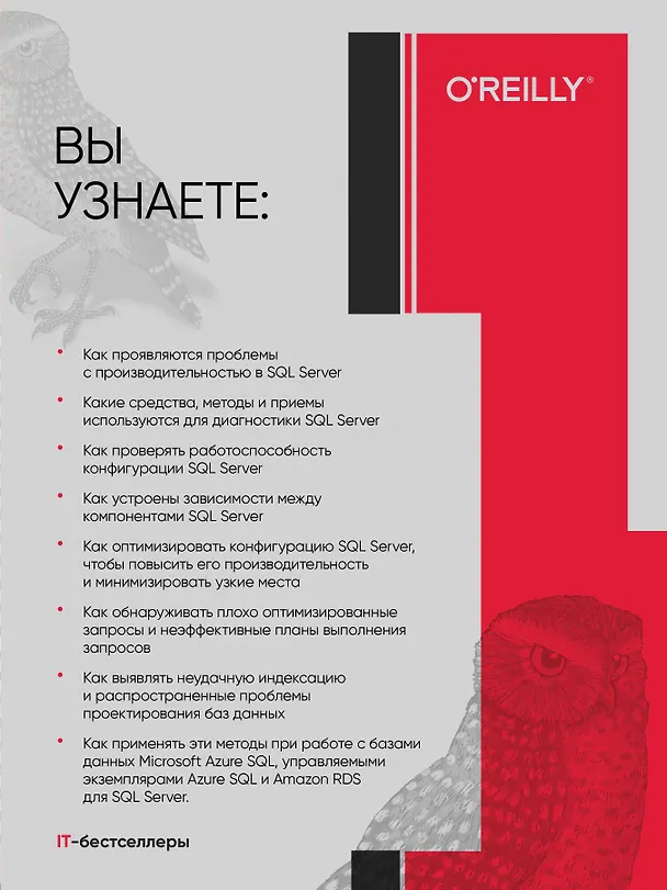Книга SQL Server. Наладка и оптимизация для профессионалов (Дмитрий Короткевич) — 4