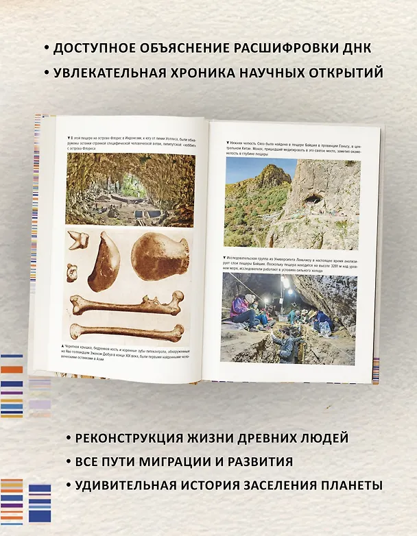 Книга Загадка Денисовского человека. Потерянное звено в истории человечества (Сильвана Кондеми, Франсуа Саватье) — 6