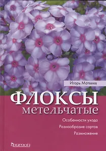 Флоксы метельчатые