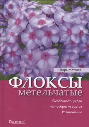 Флоксы метельчатые — 2581127 — 1