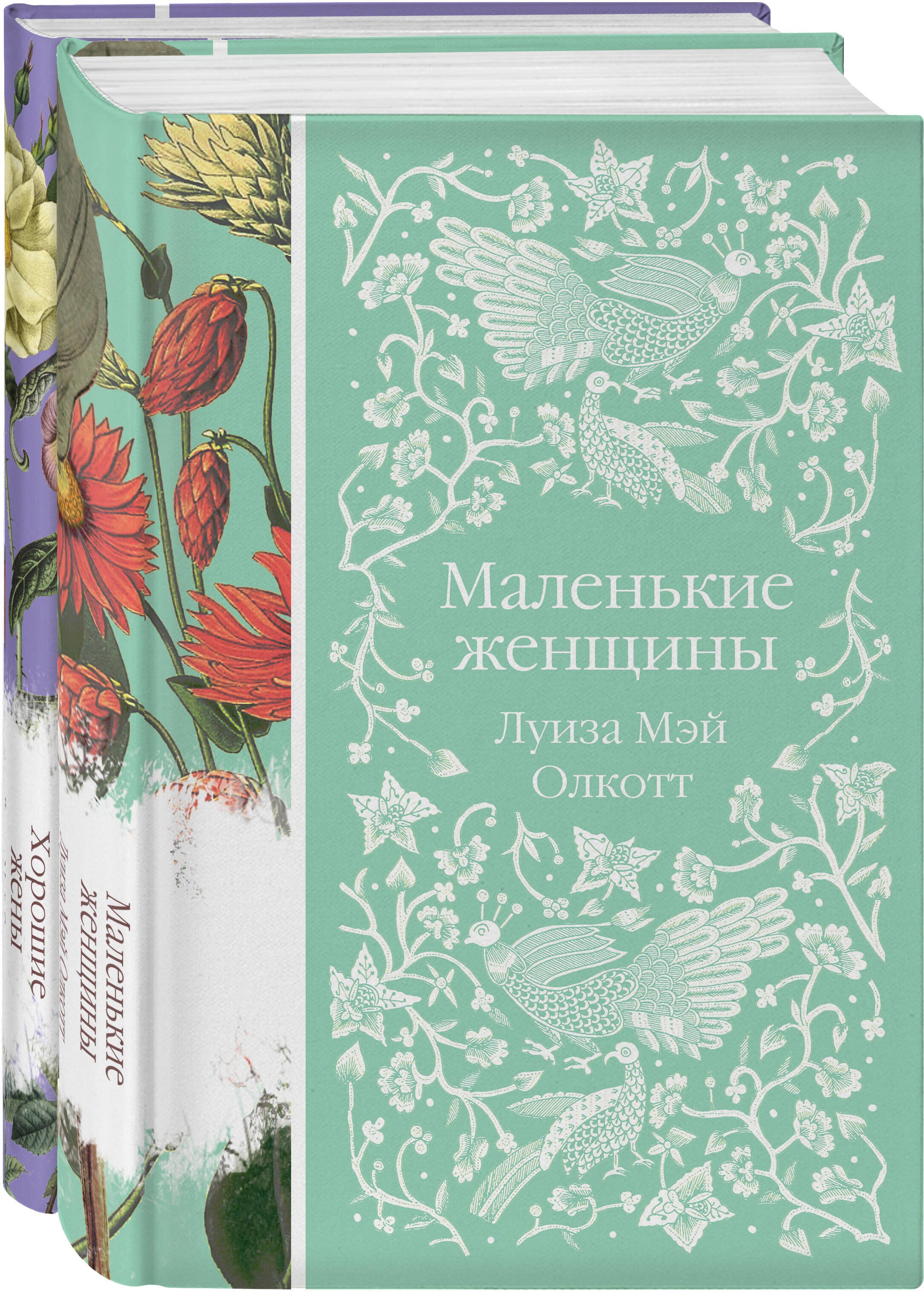 

Маленькие женщины. Истории их жизней (комплект из 2-х книг)