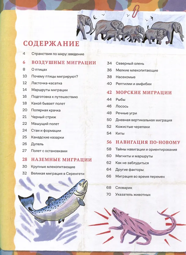 Книга Невероятные странствия животных : навигация и миграция по воздуху, суше и морю (Эд Джей Браун) — 3