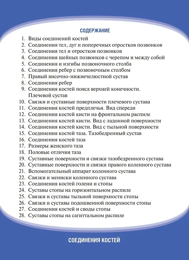 Книга Анатомия человека. Соединения костей. Карточки: наглядное учебное пособие (28 двусторонних карточек) (Алексей Гайворонский, Иван Гайворонский, Геннадий Ничипорук) — 2