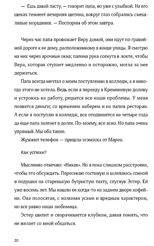 Книга Семь процентов хаоса (Эллен О`Кловер) — 6