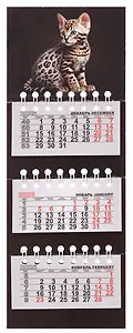 Календарь квартальный 2026г 82*230 "Котенок на черном" на магните