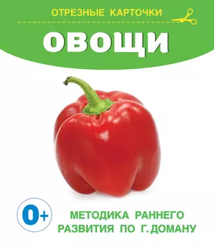 Овощи. Отрезные карточки — 2985924 — 1