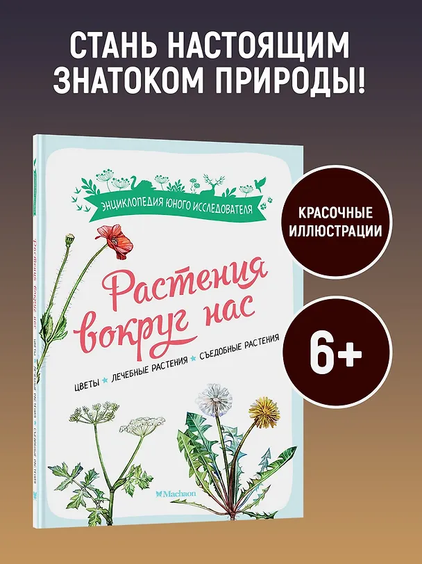 Книга Растения вокруг нас (Роберт Каплан, Франсуа Куплан) — 5