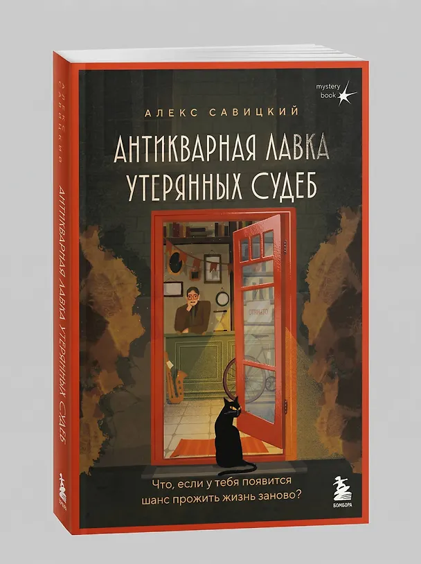 Книга Антикварная лавка утерянных судеб. Что если у тебя появится шанс прожить жизнь заново? (Алекс Савицкий) — 13