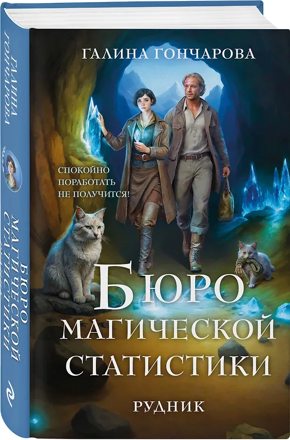Книга Бюро магической статистики. Рудник (Галина Гончарова) — 4