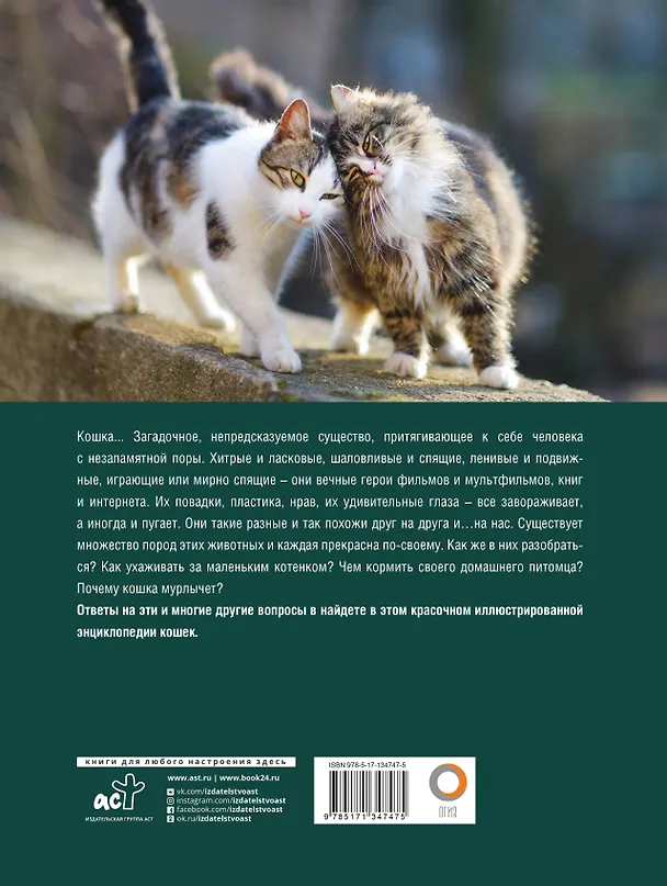 Книга Кошки. Лучший иллюстрированный гид () — 2