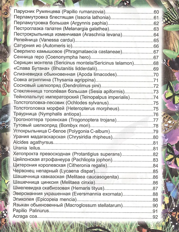 Книга Бабочки. Энциклопедия (Людмила Соколова) — 4