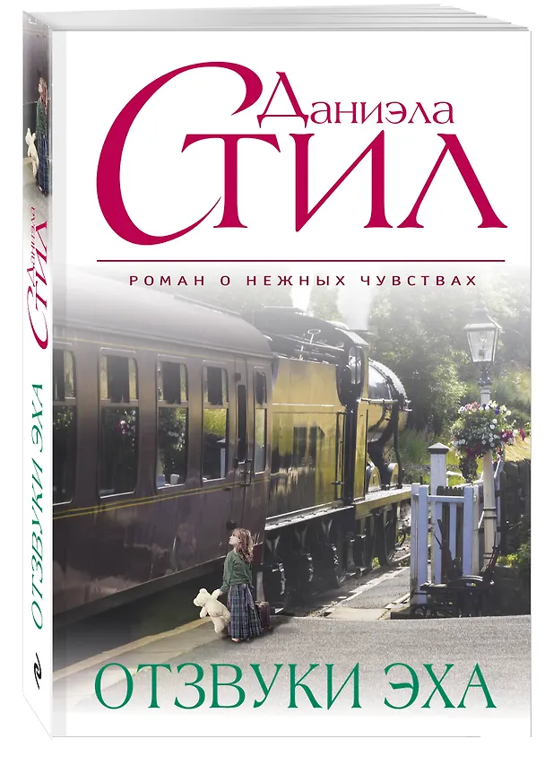Книга Отзвуки эха (Даниэла Стил) — 4
