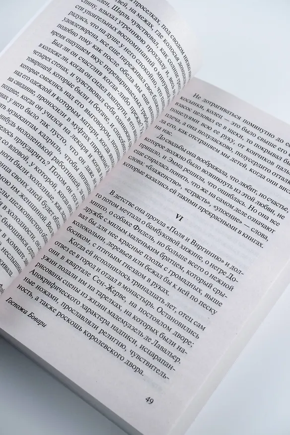Книга Госпожа Бовари (Гюстав Флобер) — 9