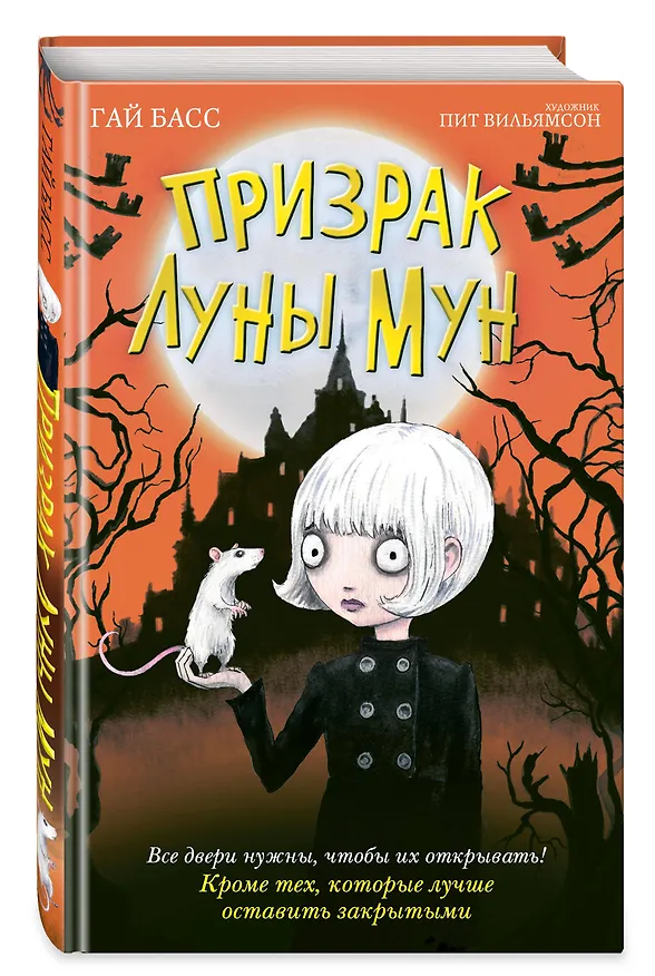 Книга Призрак Луны Мун (Гай Басс) — 5