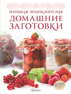 Большая энциклопедия. Домашние заготовки