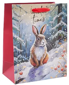 Пакет А5 23*18*10 "Зайка. Winter times" НГ, бум.мат.ламинат