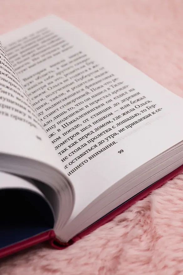 Книга Ольга (Бернхард Шлинк) — 13