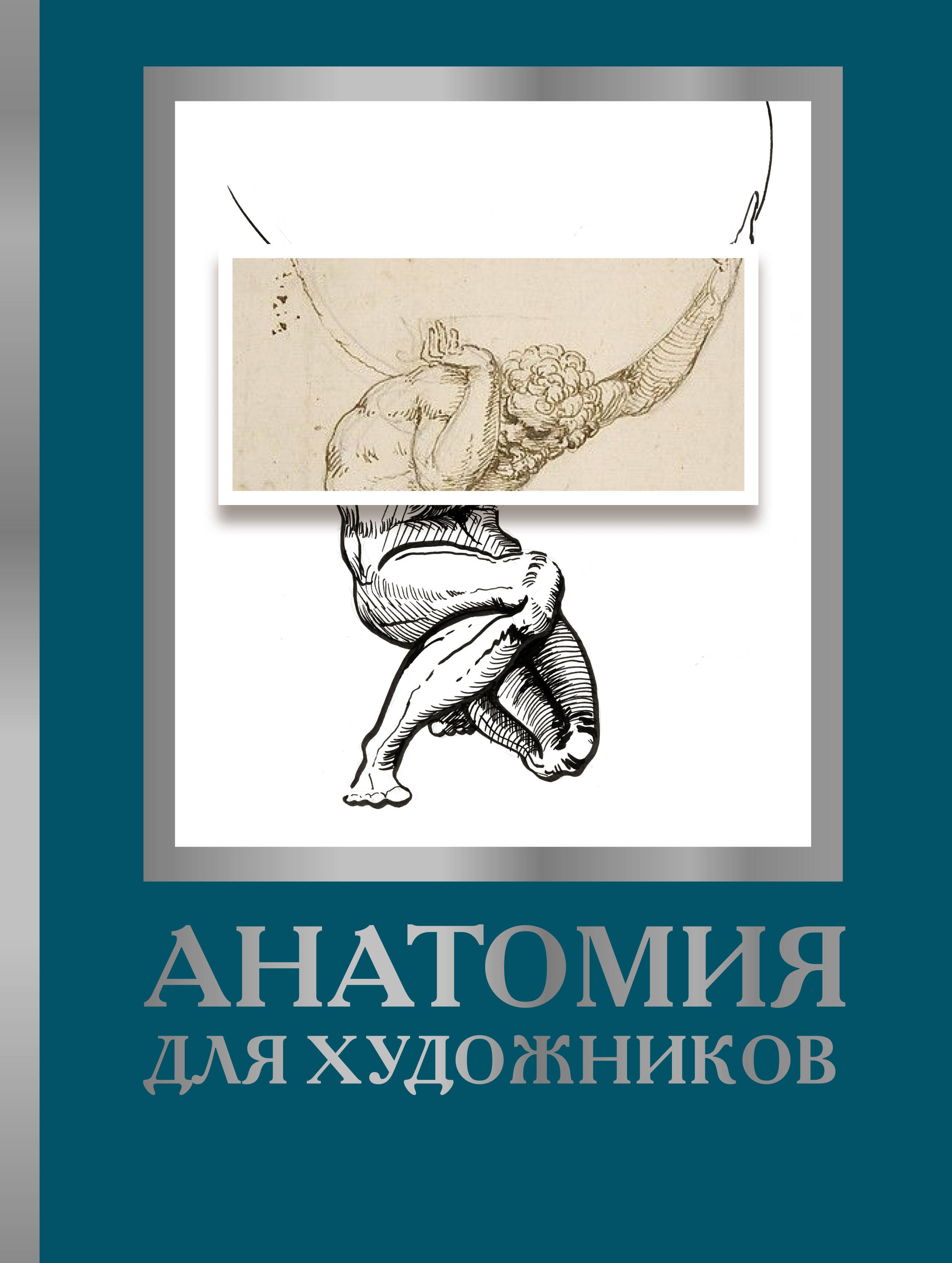 

Анатомия для художников