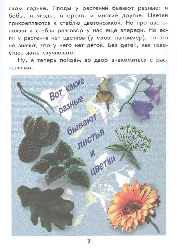 Книга Настоящая ботаника для мальчиков и девочек (А.В. Лукьянова) — 4